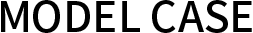 MODEL CASE